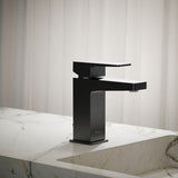 Honesty® Single-handle bathroom sink faucet, 1.2 gpm