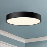 Alora Mood Adelaide 15-in Flush Mount