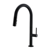 Exton Kitchen Faucet