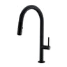 Exton Kitchen Faucet