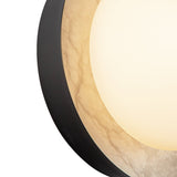 Alora Alonso 8-in Wall/Vanity Light