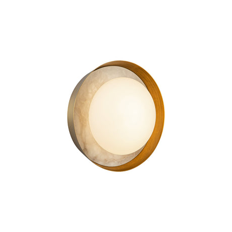 Alora Alonso 8-in Wall/Vanity Light