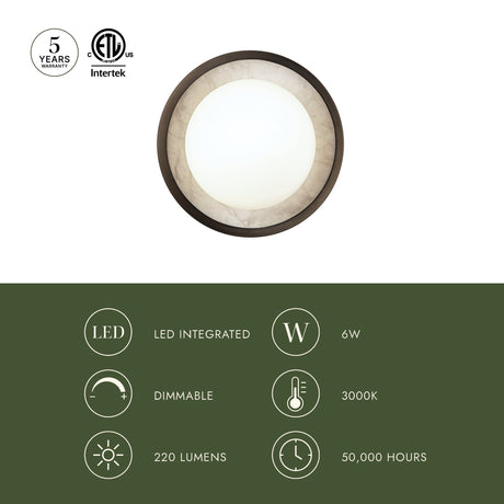 Alora Alonso 8-in Wall/Vanity Light