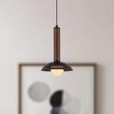 Alora Mood Arden 9-in (With Shade) Pendant