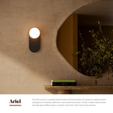 Alora Mood Ariel 12-in Wall/Vanity Light