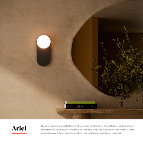 Alora Mood Ariel 12-in Wall/Vanity Light
