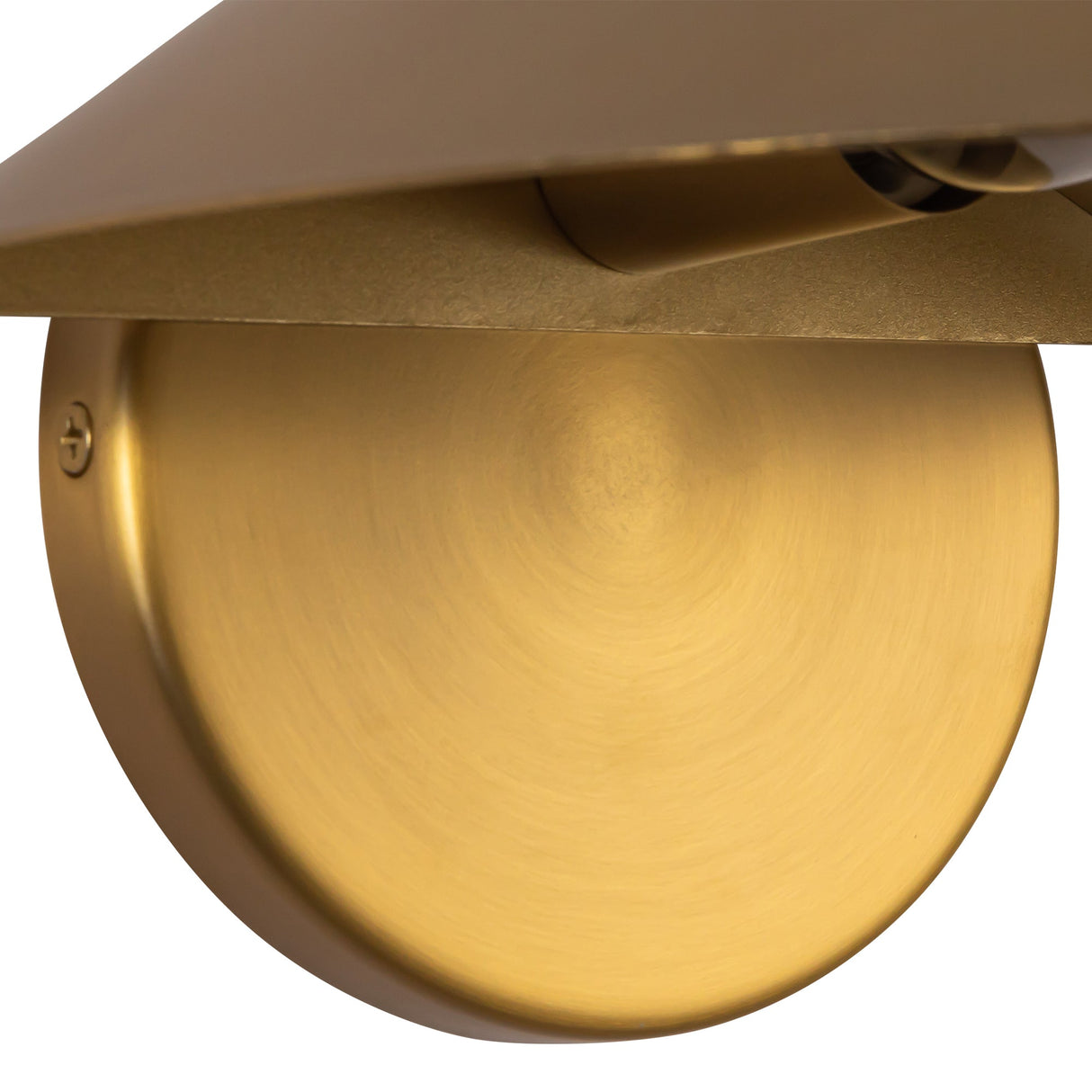 Alora Mood Ashford 8-in Wall Sconce