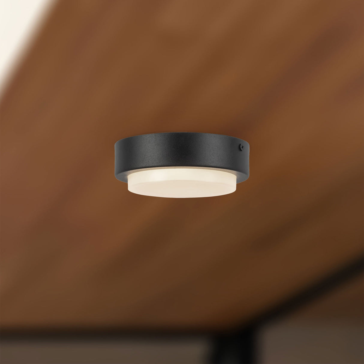Kuzco Bailey 5-in Exterior Ceiling