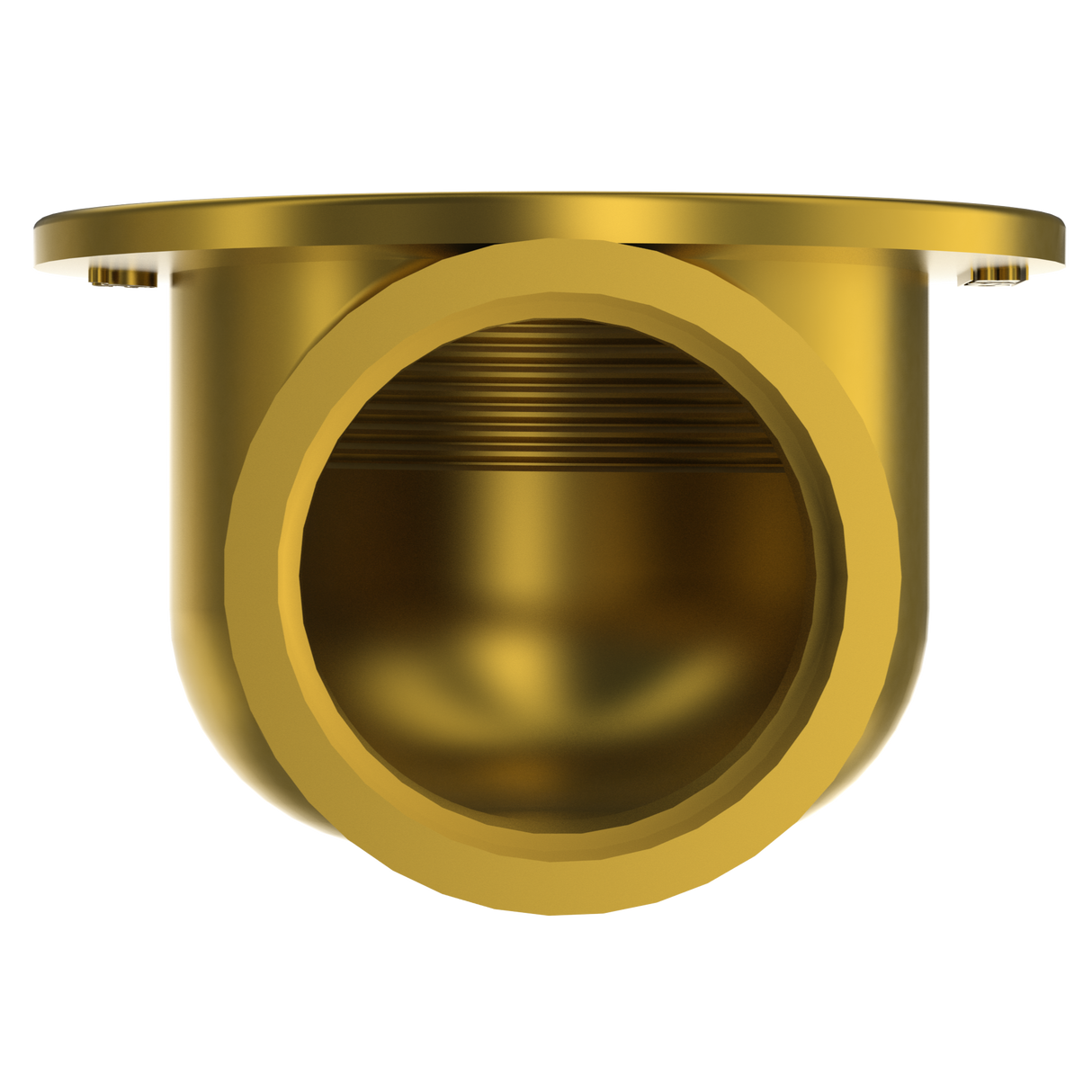 2" Brass Side Discharge (BCS.24)