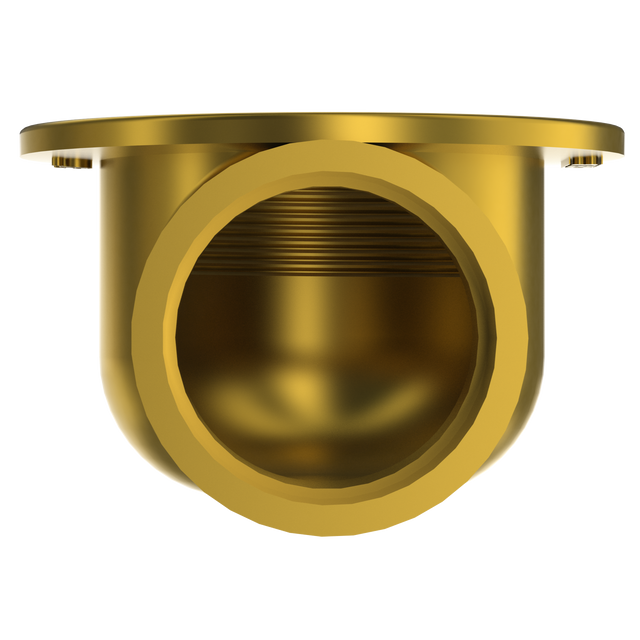 2" Brass Side Discharge (BCS.24)
