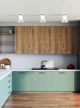 Kuzco Birch 9-in Flush Mount