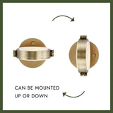 Alora Blanco 6-in Wall/Vanity Light