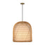 Alora Mood Bondi 20-in Pendant
