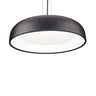 Beacon PD13124