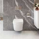 KARO Wallhung Toilet