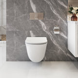 LILY Wallhung Toilet