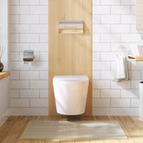 VISTA Wallhung Toilet