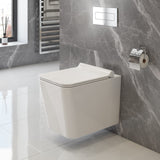 BAXTER Wallhung Toilet