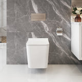 BAXTER Wallhung Toilet