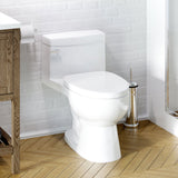 RIOSE One-Piece Toilet