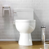 RIOSE One-Piece Toilet