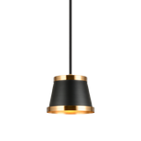 Matteo Pendant C62901BK