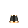 Matteo Pendant C62901BK