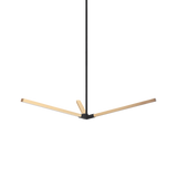 Matteo Pendants C66813MB
