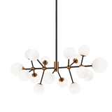 Matteo Novu 16-Light Chandelier C83016AGOP