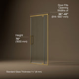 Statement™ 36"-42" W x 76" H pivot shower door with 5/16"-thick Crystal Clear glass