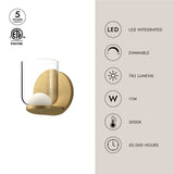 Kuzco Cedar 4-in Wall Sconce
