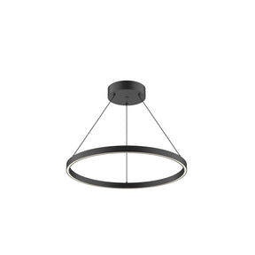 Cerchio PD87124