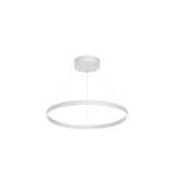 Kuzco Cerchio 24-in Pendant