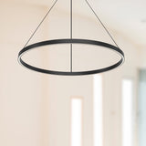 Kuzco Cerchio 32-in Pendant