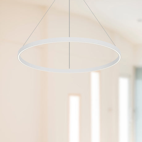 Kuzco Cerchio 32-in Pendant