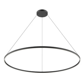 Cerchio PD87172