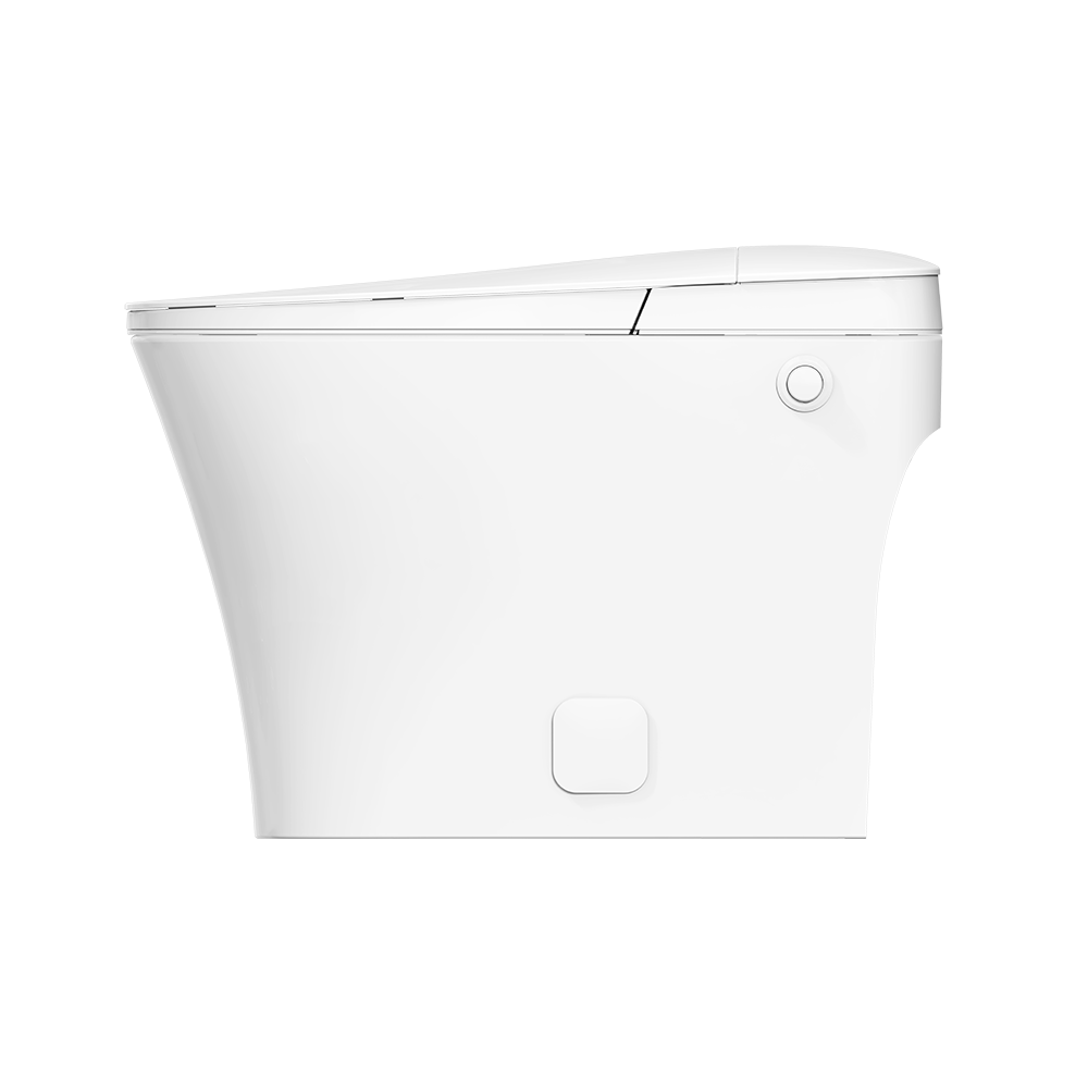 iWash CS-15 Non-Electric Bidet Toilet
