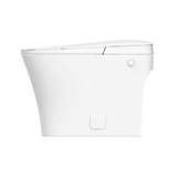 iWash CS-15 Non-Electric Bidet Toilet