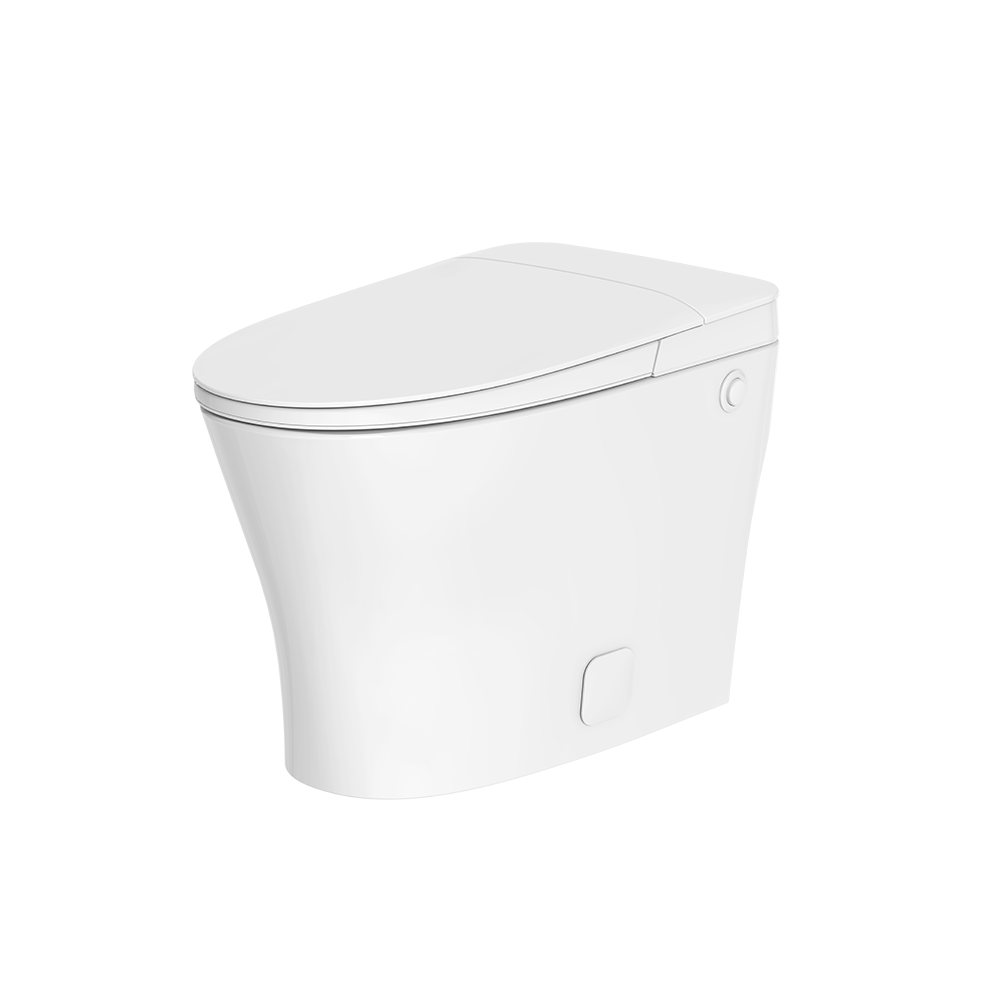 iWash CS-15 Non-Electric Bidet Toilet
