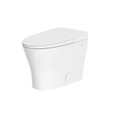 iWash CS-15 Non-Electric Bidet Toilet