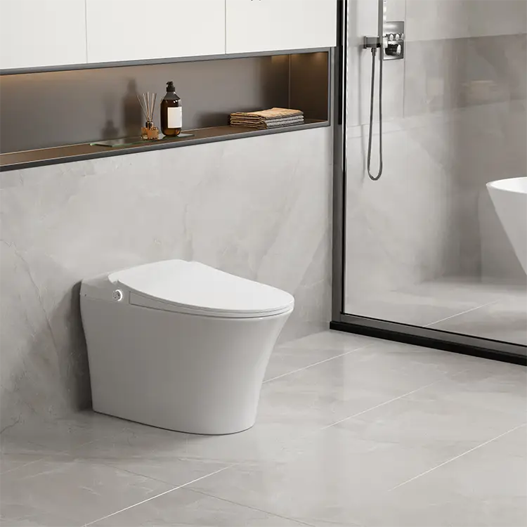 iWASH CS-18 Bidet Toilet