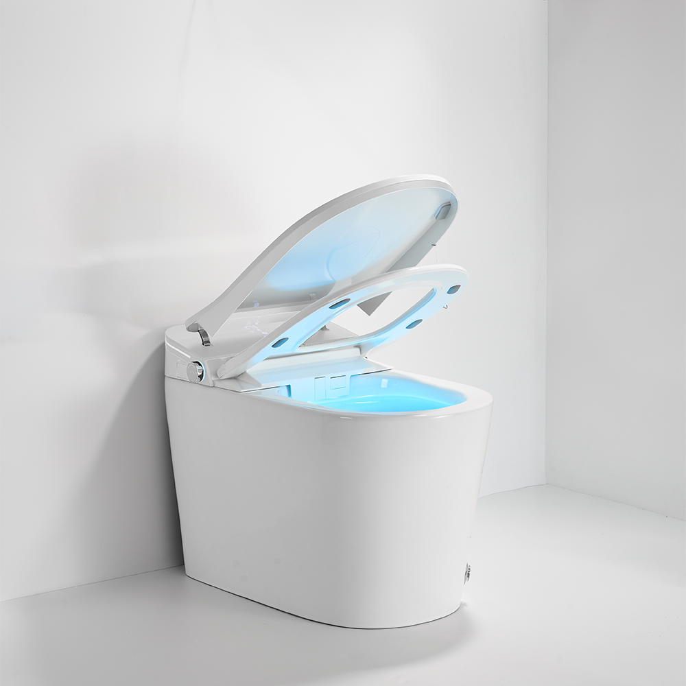 iWASH CS-70 Bidet Toilet