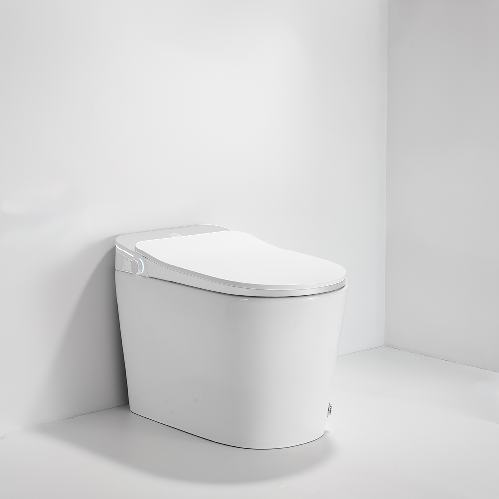 iWASH CS-70 Bidet Toilet