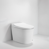 iWASH CS-70 Bidet Toilet