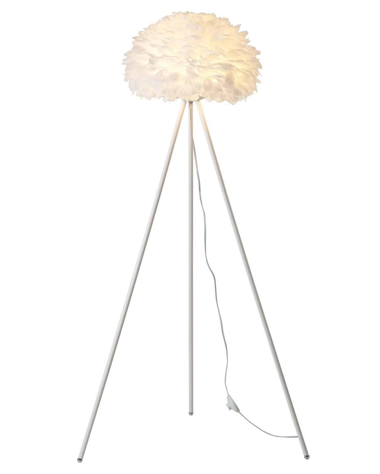 Floor Lamp DLS23F17W