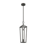 Delphine PD317120