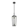 Delphine PD317120