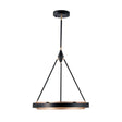 Alora Duo Pendant PD302724 - image 2