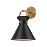 Alora Mood Emerson 9-in Wall/Vanity Light