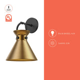 Alora Mood Emerson 9-in Wall/Vanity Light